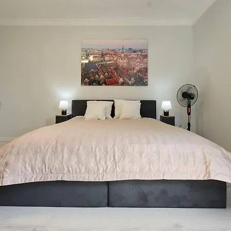 Pyza With Parking Zgoda 30 Daire *