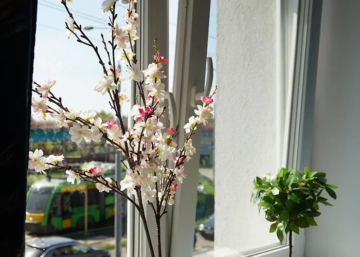 Pyza With Parking Zgoda 30 Apartmán *